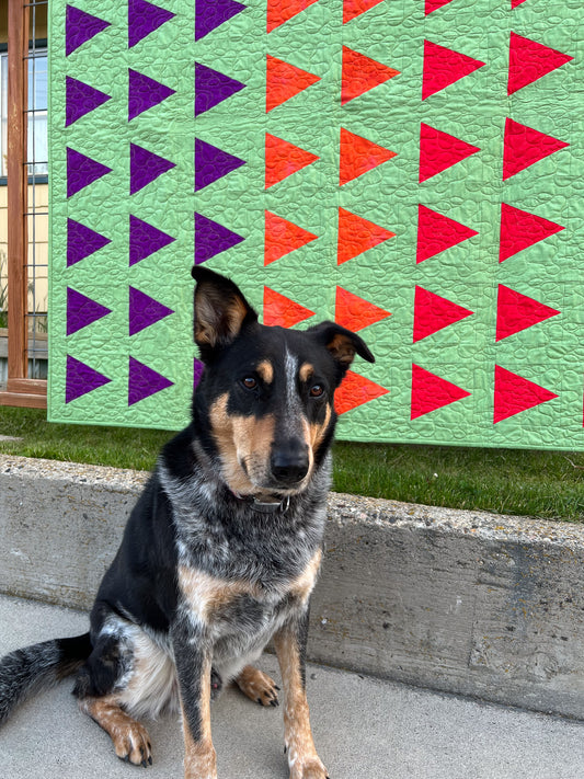 Spring Quilts, Paws and Capturing Moments