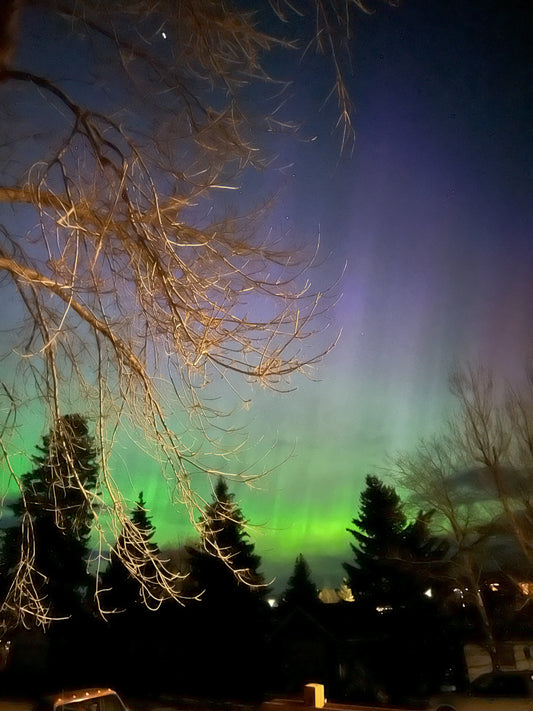 The Northern Lights' Midnight Dance: A Mother's Day Show Stopper